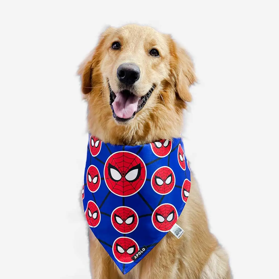 Pañoleta para mascotas Spiderman - Pañoletas Apolo